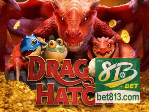 813BET PIX instantâneo Brasil - Depósito e saque em minutos 24/7
